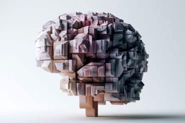 This shows a geometric brain.