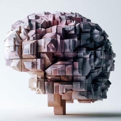 This shows a geometric brain.