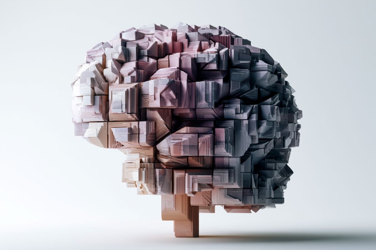 This shows a geometric brain.