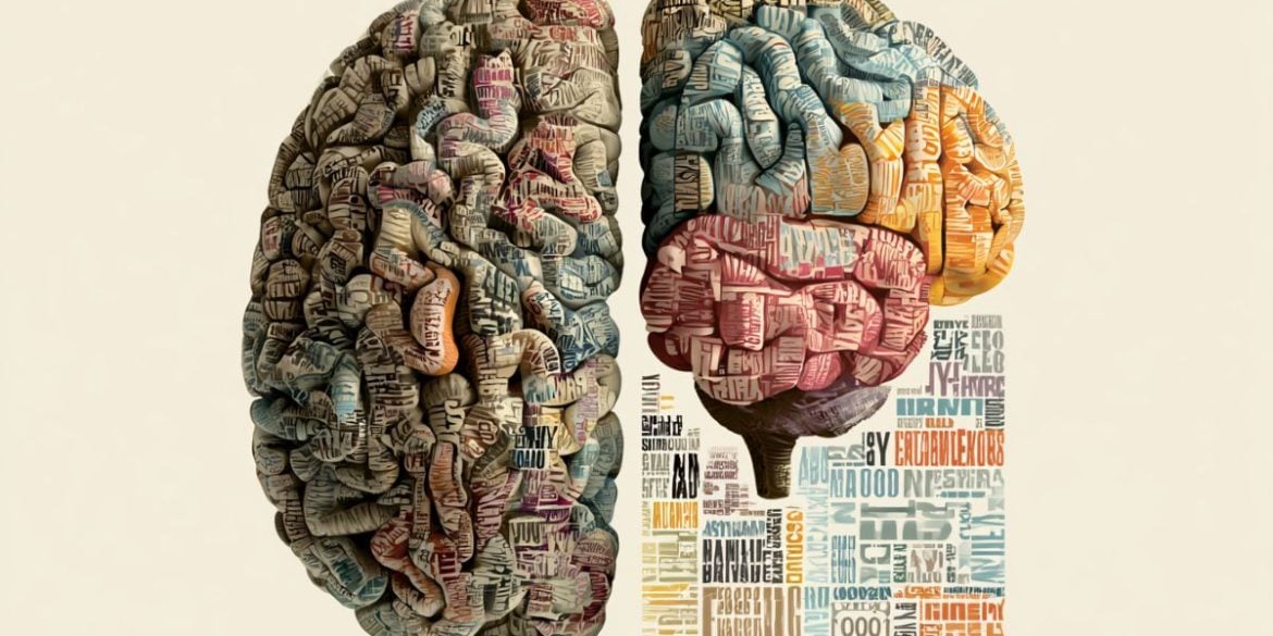 This shows a brain.