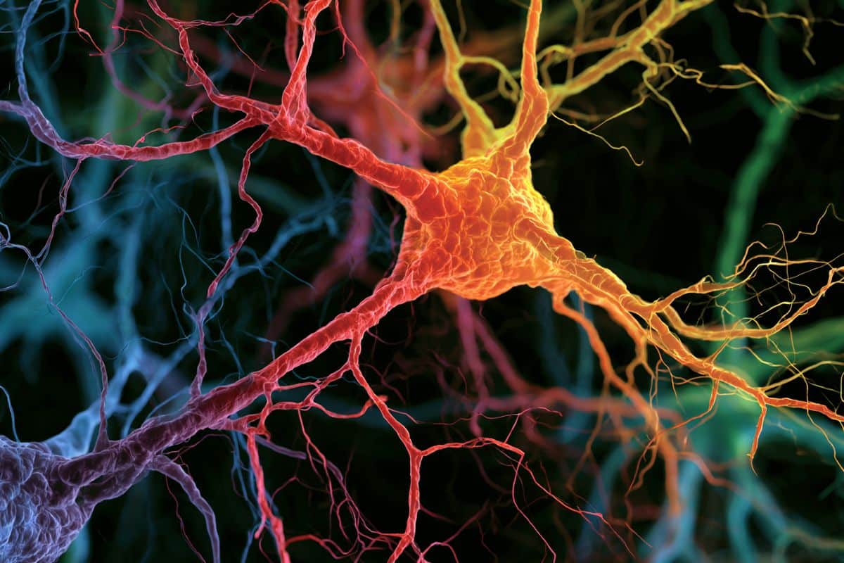 Myelin Damage Triggers Abnormal Brain Rhythms During Sleep
