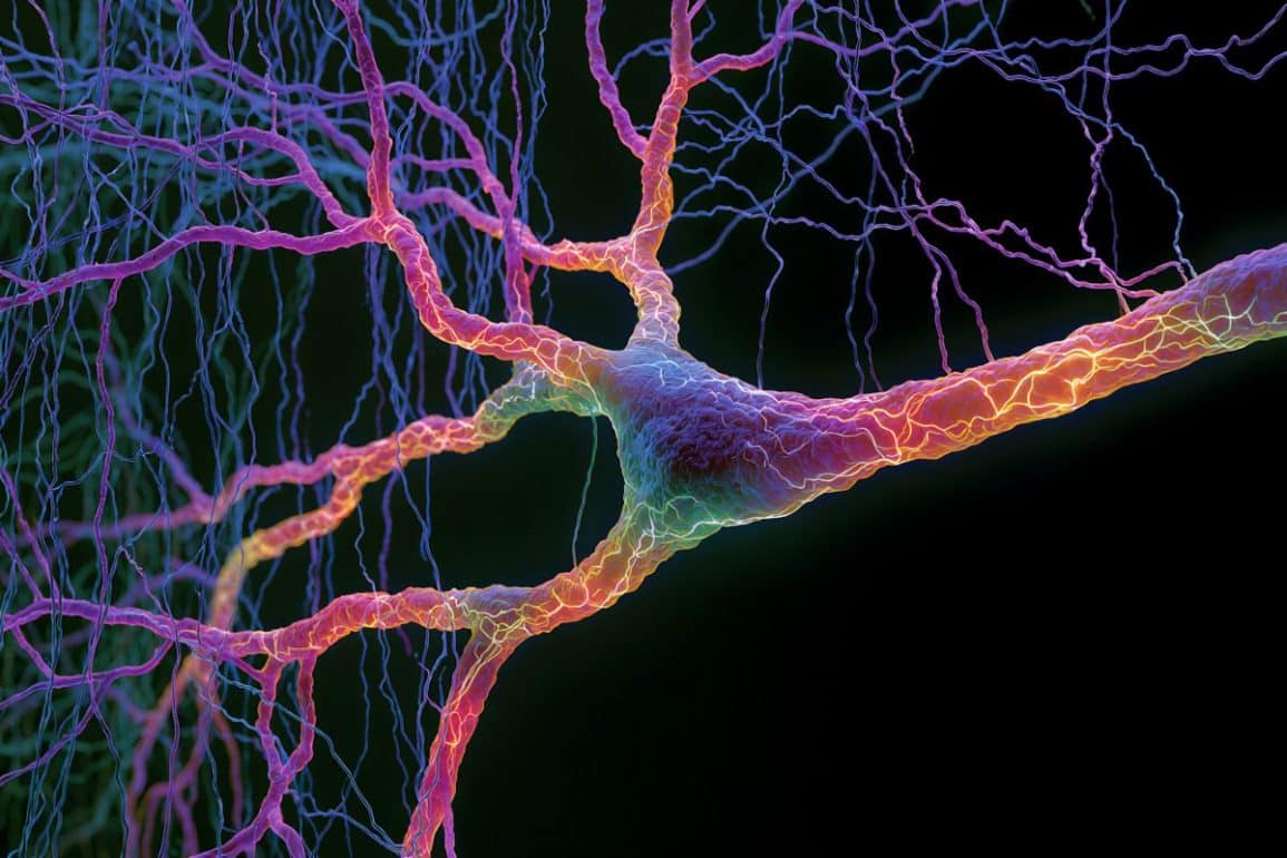 Engineers Redefined Light Delivery to Track Neural Firing