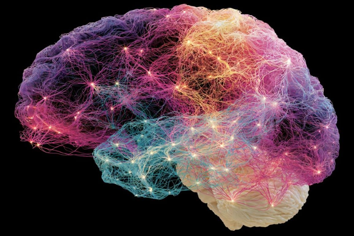 Reduced Brain Network Flexibility Across Psychiatric Conditions