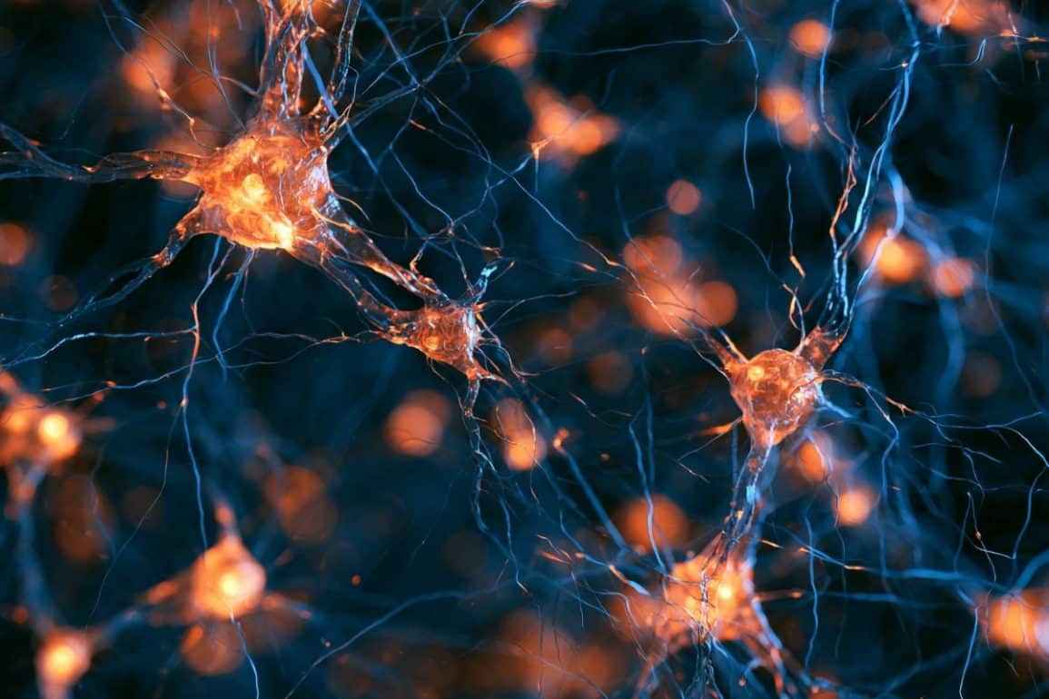 Ketamine Reshapes Neural Networks and Neuroplasticity