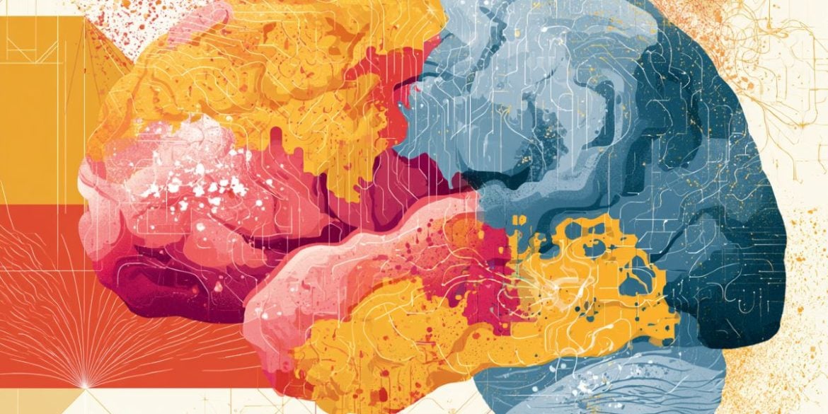 This shows a brain.