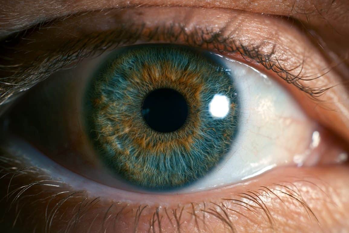 Photoreceptors Recycle Waste to Preserve Vision
