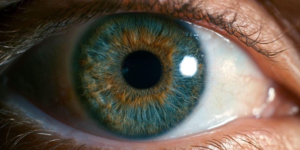 This shows an eye.