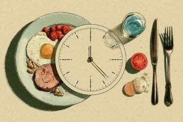 This shows a clock and a plate of protein rich foods.