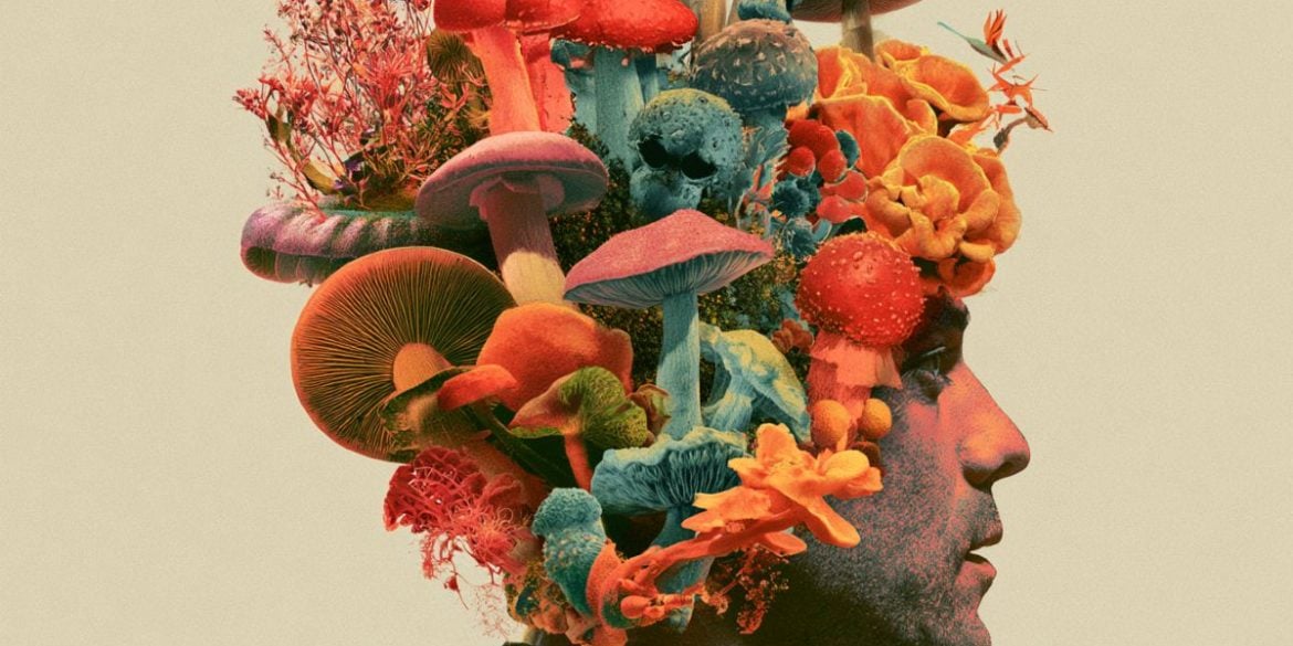 This shows a head and psilocybin mushrooms.