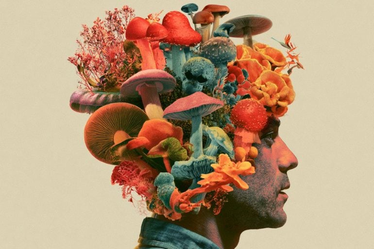 This shows a head and psilocybin mushrooms.