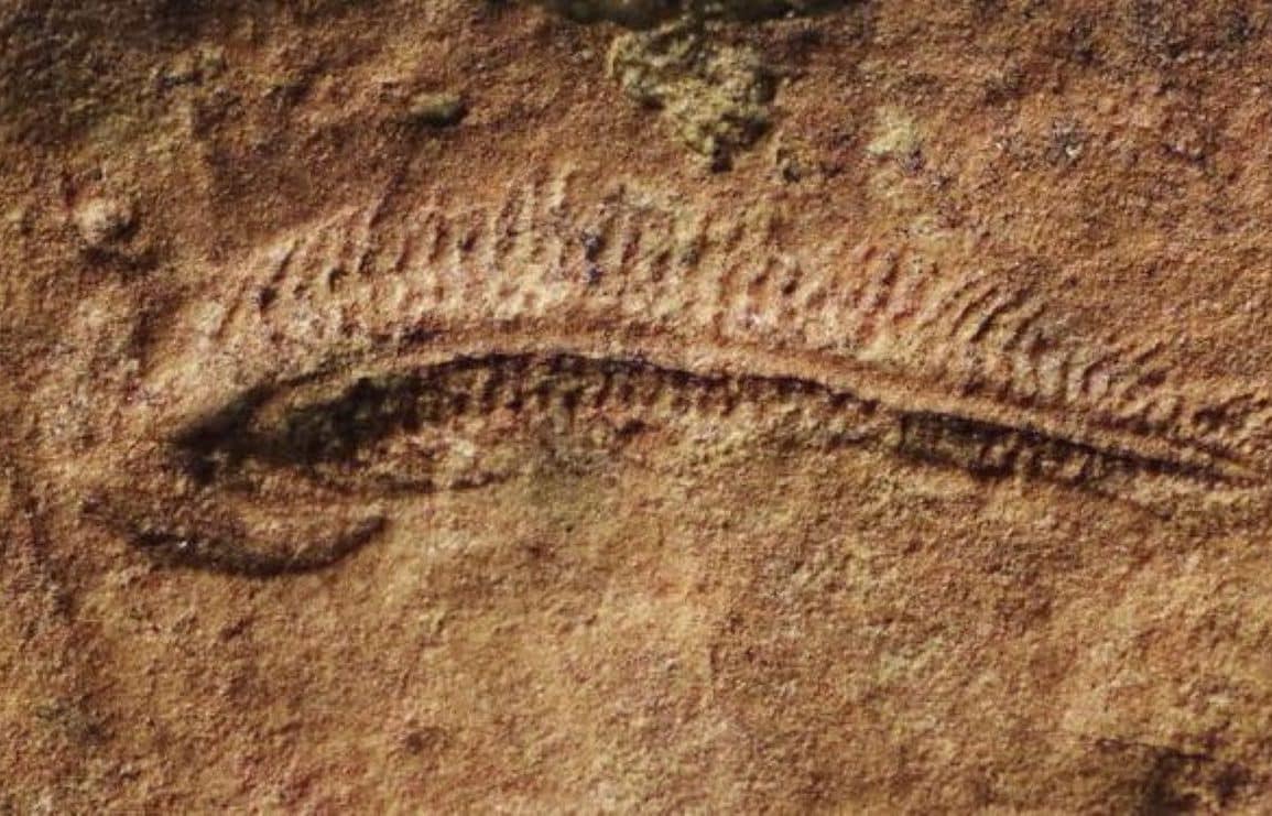 Earliest Evidence of Right-Handedness Found