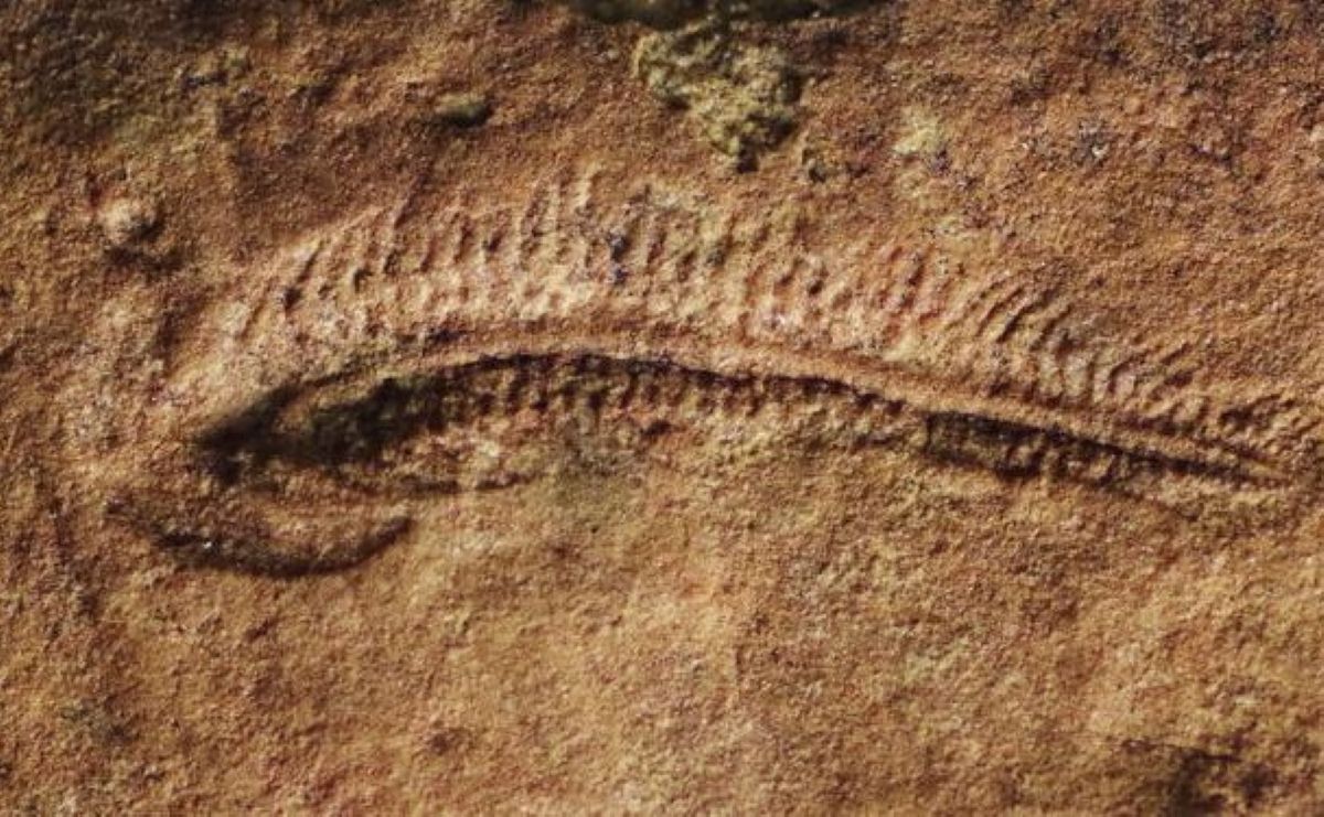 Earliest Evidence of Right-Handedness Found