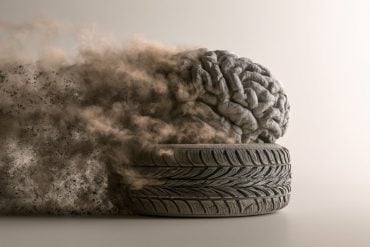 This shows a tire and a brain.