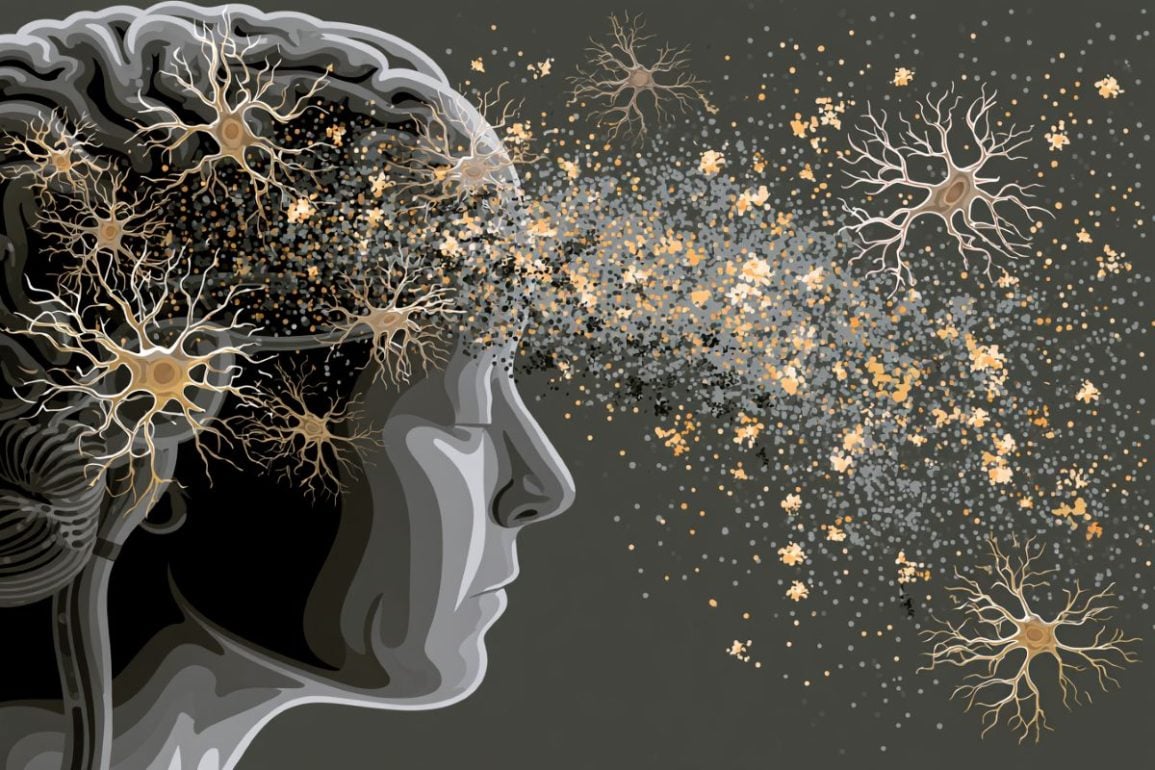 The Brain Has Microscopic Exit Doors for Toxic Proteins