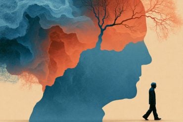 This shows a head and a person walking.