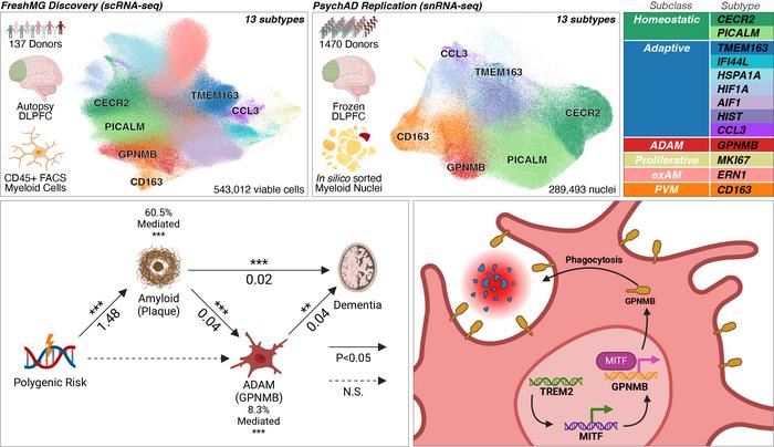 Donghoon Lee graphical abstract.