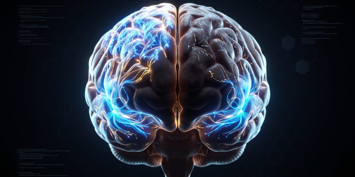 A 3D digital illustration of a human brain side-by-side comparison, highlighting the language centers glowing brightly and equally in both a younger and older brain, while executive function areas are dimmed in the older brain.