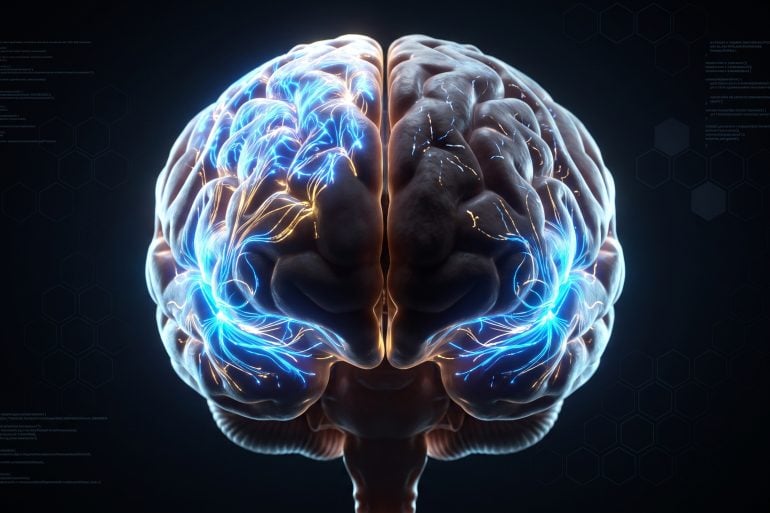 A 3D digital illustration of a human brain side-by-side comparison, highlighting the language centers glowing brightly and equally in both a younger and older brain, while executive function areas are dimmed in the older brain.