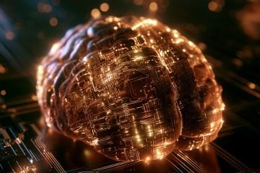 This shows a digital brain.