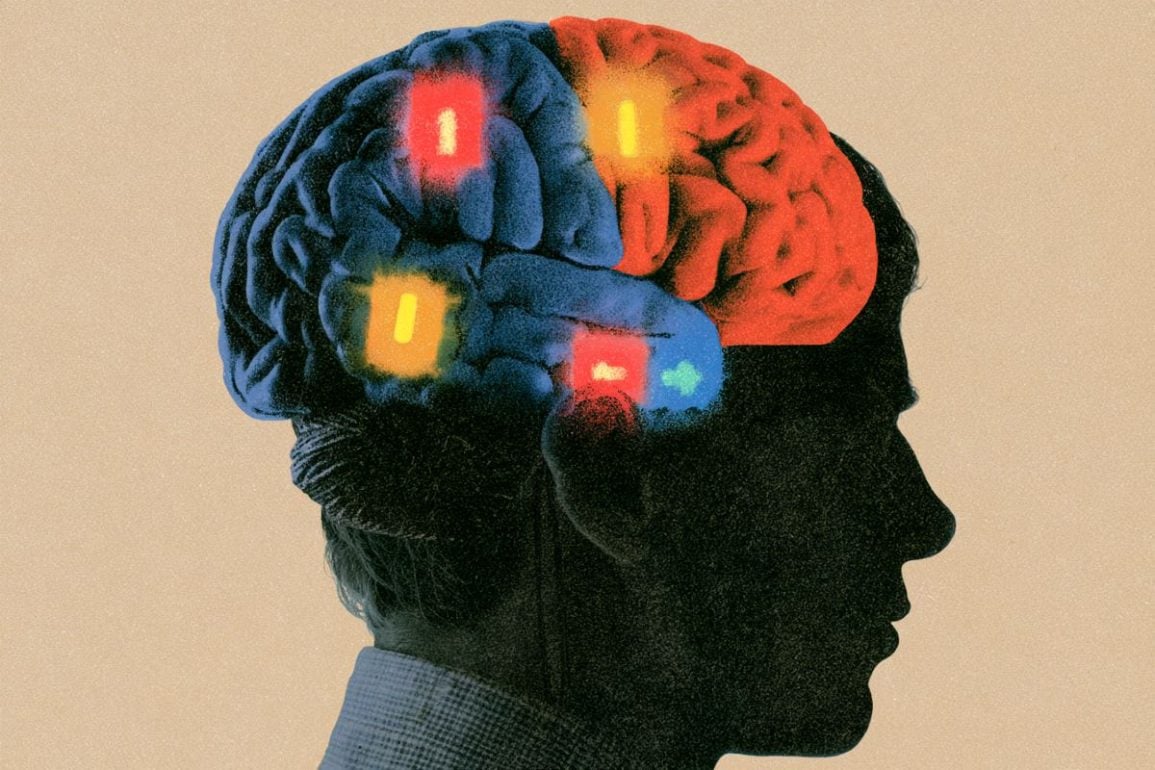 Researchers Discover the Brains Hidden Learning Switch