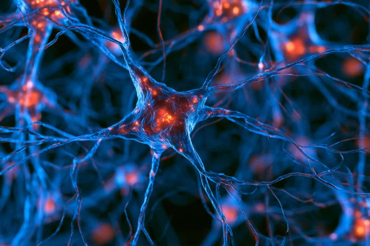 Exercise Shields Dopamine Neurons in Parkinson’s