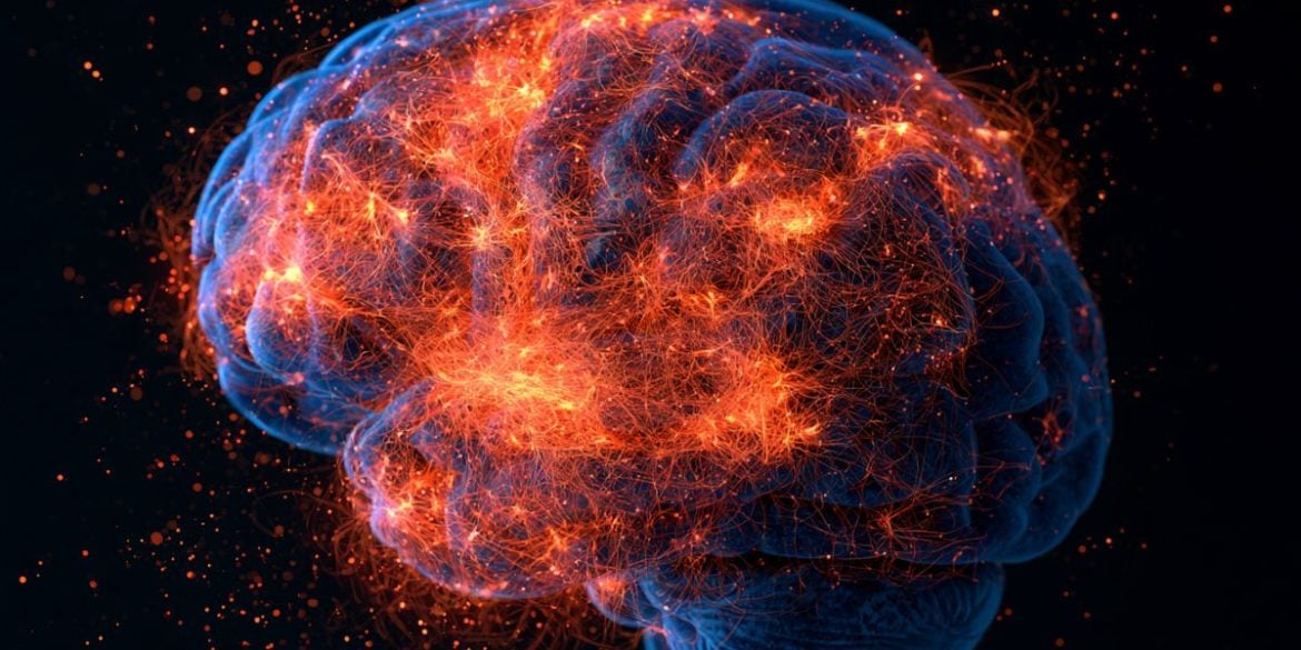 This shows a brain.