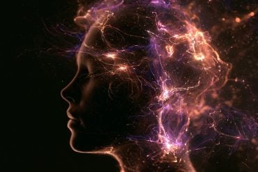 This shows a head.