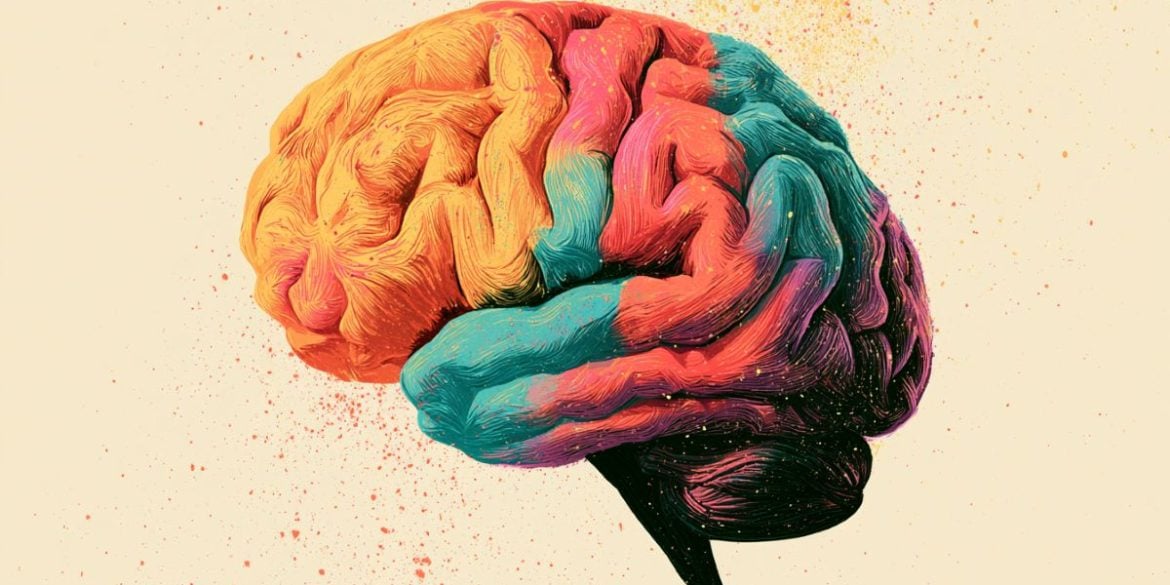 This shows a colorful brain.