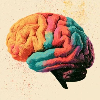 This shows a colorful brain.