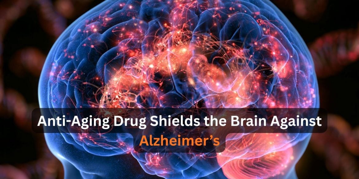 This shows a head and a brain.