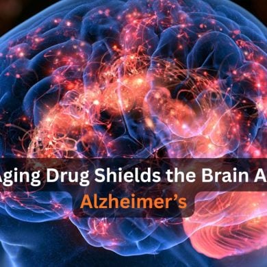 This shows a head and a brain.