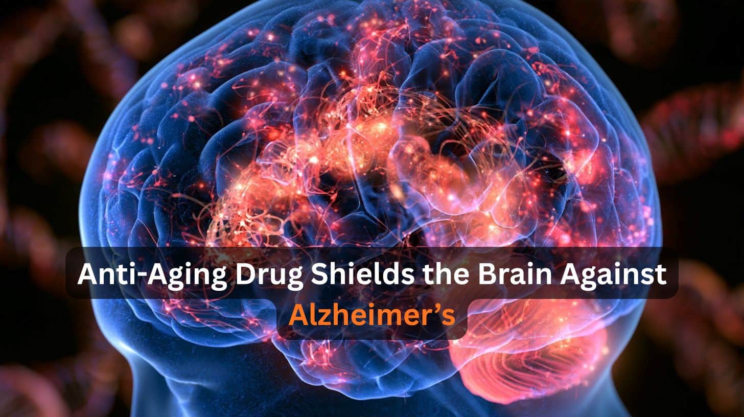 This shows a head and a brain.