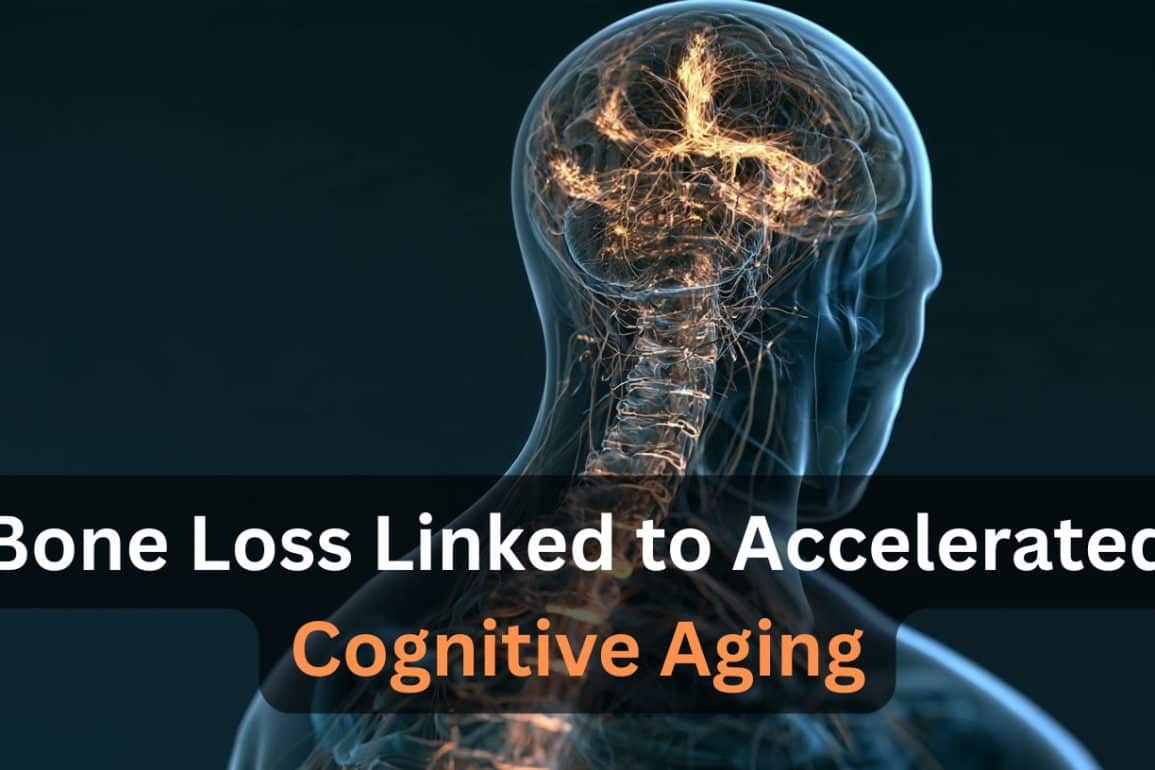 This shows the outline of a person and a brain. Caption reads "Bone Loss Linked to Accelerated Cognitive Aging."