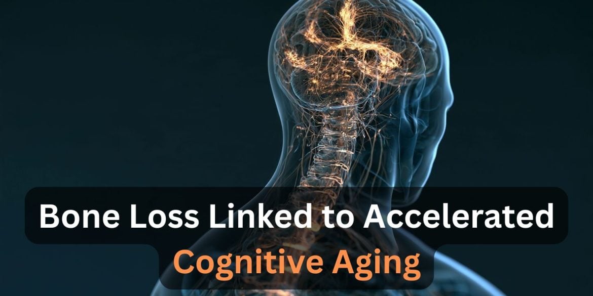 This shows the outline of a person and a brain. Caption reads "Bone Loss Linked to Accelerated Cognitive Aging."