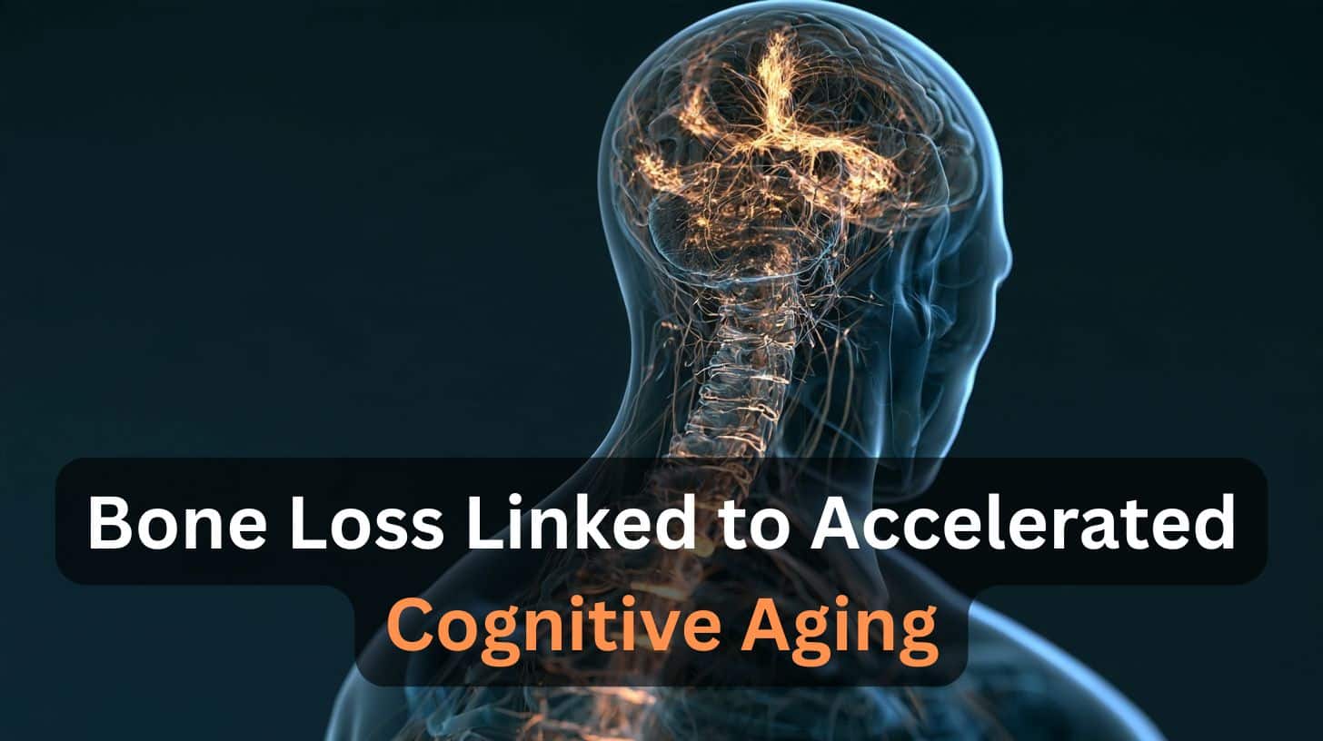 This shows the outline of a person and a brain. Caption reads "Bone Loss Linked to Accelerated Cognitive Aging."