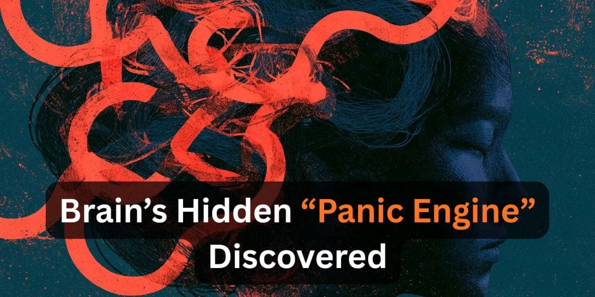 This shows the outline of a head with the caption "Brain’s Hidden “Panic Engine” Discovered".
