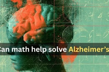 This shows a head surrounded by numbers. Caption reads "Can math help solve Alzheimer’s?"