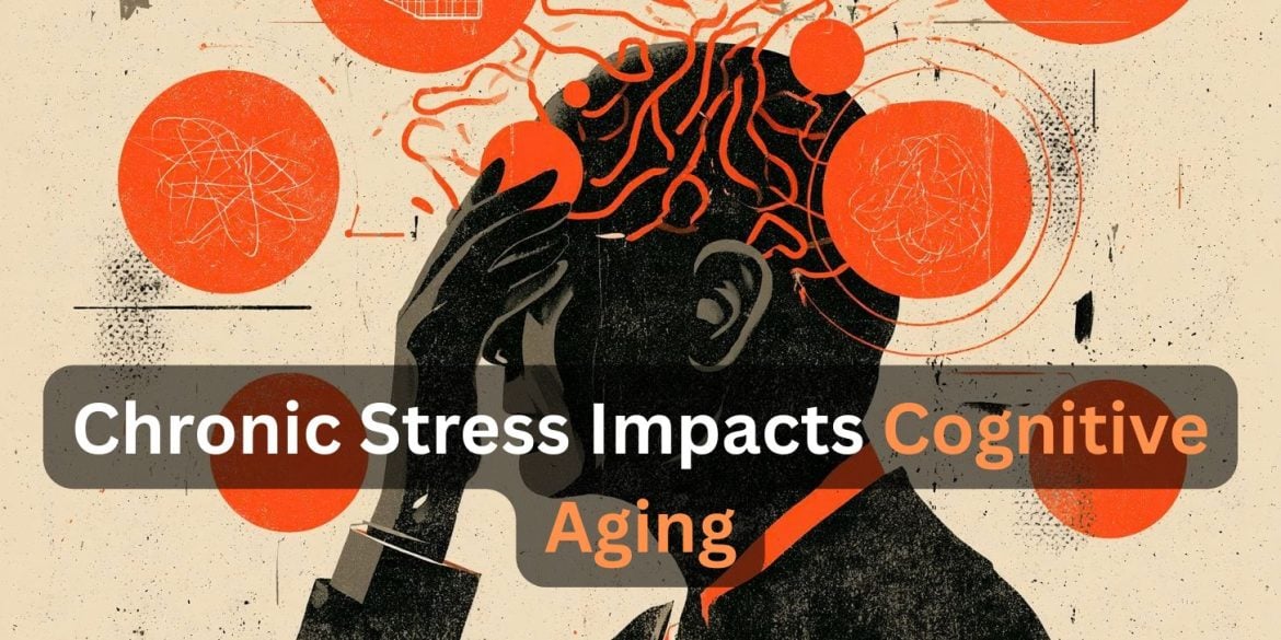 This shows the outline of a head. Caption reads "Chronic Stress Impacts Cognitive Aging."