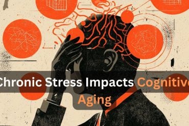 This shows the outline of a head. Caption reads "Chronic Stress Impacts Cognitive Aging."