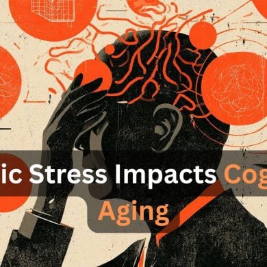 This shows the outline of a head. Caption reads "Chronic Stress Impacts Cognitive Aging."