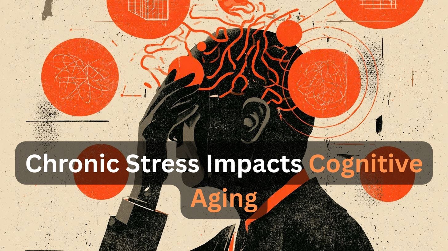 This shows the outline of a head. Caption reads "Chronic Stress Impacts Cognitive Aging."