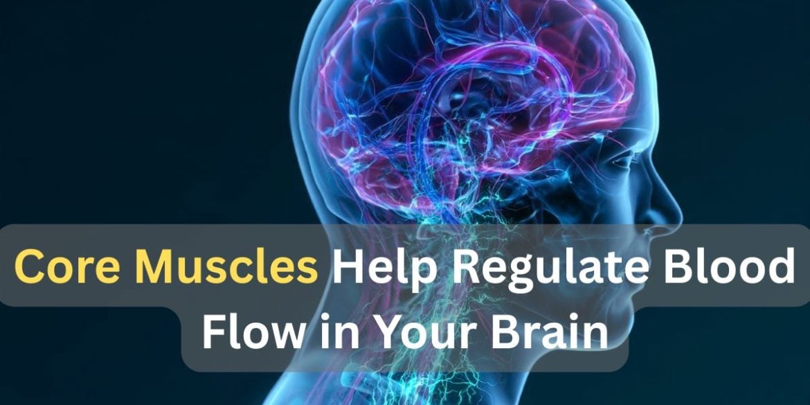 This shows a head and a higlighted brain/ Caption reads "Core Muscles Help Regulate Blood Flow in Your Brain".