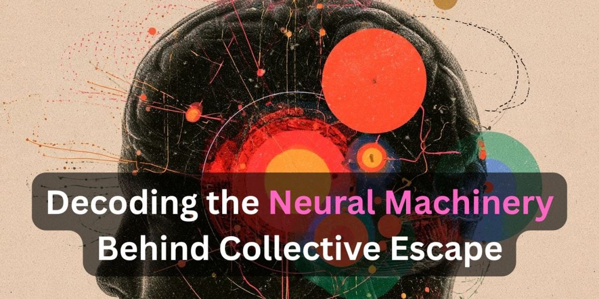 This shows the outline of a head. Caption reads "Decoding the Neural Machinery Behind Collective Escape."