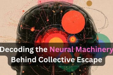 This shows the outline of a head. Caption reads "Decoding the Neural Machinery Behind Collective Escape."