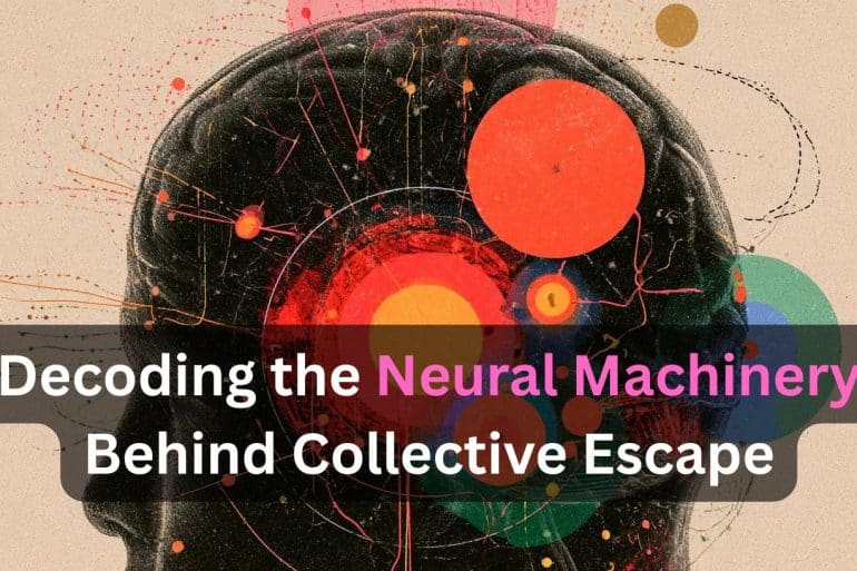 This shows the outline of a head. Caption reads "Decoding the Neural Machinery Behind Collective Escape."