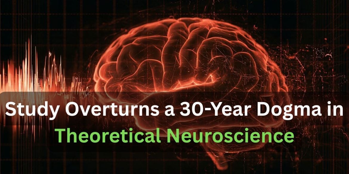 This shows a brain. Caption reads "Study Overturns a 30-Year Dogma in Theoretical Neuroscience."