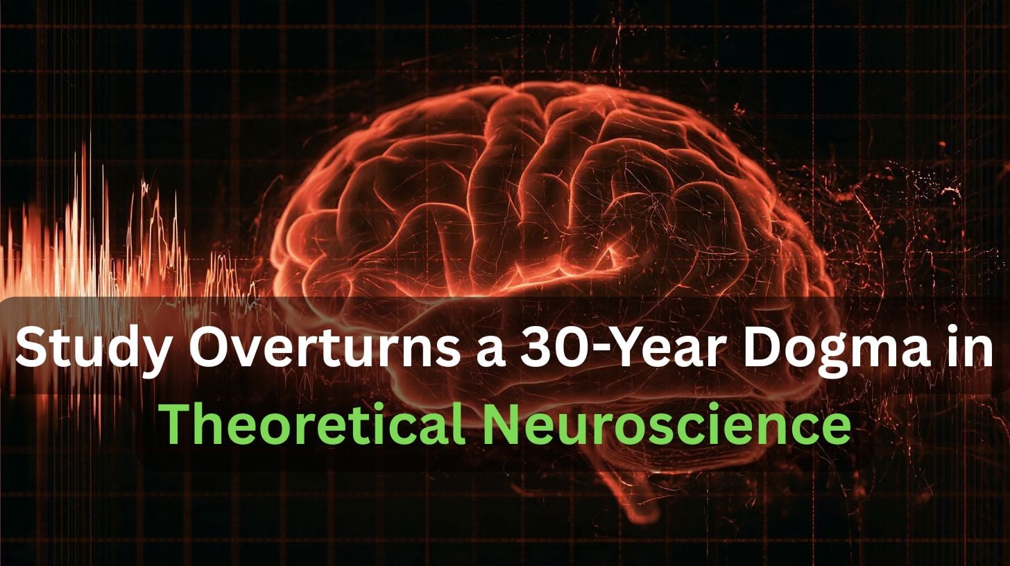 This shows a brain. Caption reads "Study Overturns a 30-Year Dogma in Theoretical Neuroscience."