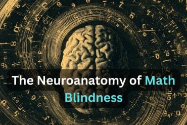This shows a brian surrounded by numbers. Caption reads "The Anatomy of Math Blindness."