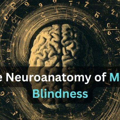 This shows a brian surrounded by numbers. Caption reads "The Anatomy of Math Blindness."