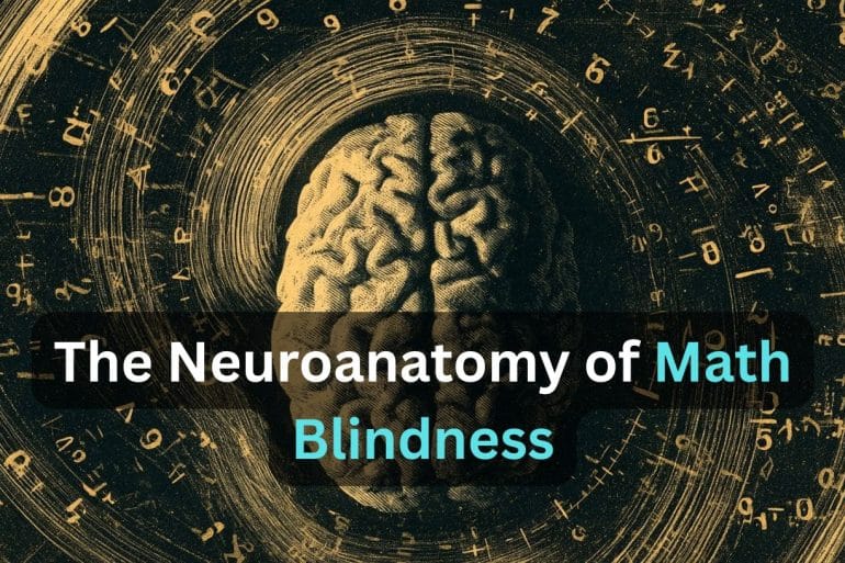 This shows a brian surrounded by numbers. Caption reads "The Anatomy of Math Blindness."